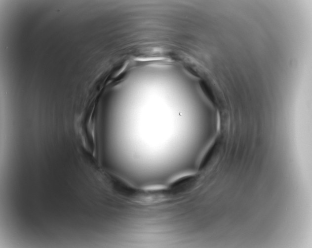 X0000088710712200706212002