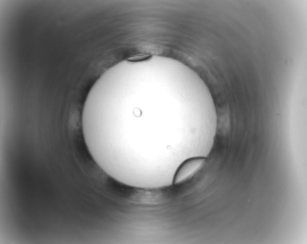 X0000088710713200706212002