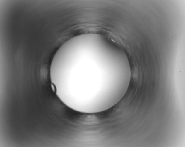 X0000088710715200706212002