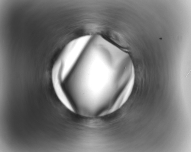 X0000088710716200706212002