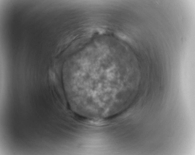 X0000088710720200706212002