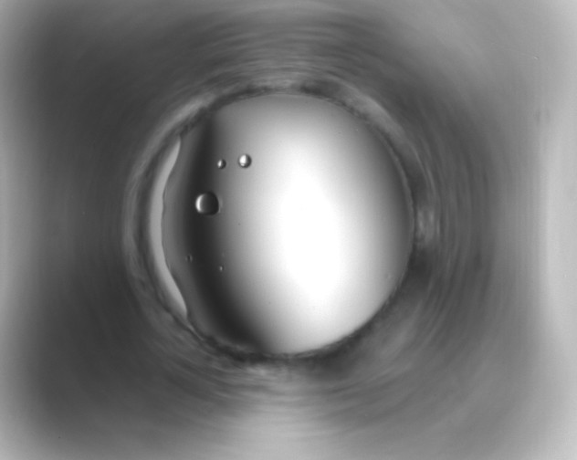 X0000088710724200706212002