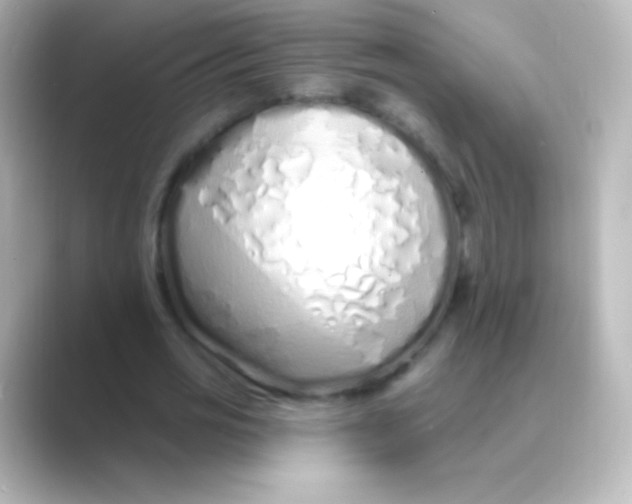 X0000088710725200706212002