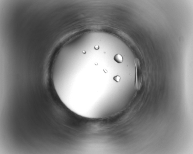 X0000088710728200706212002