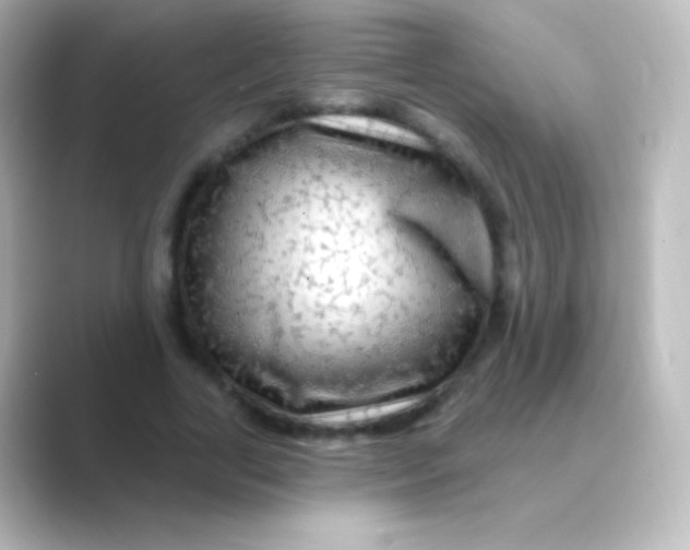 X0000088710731200706212002