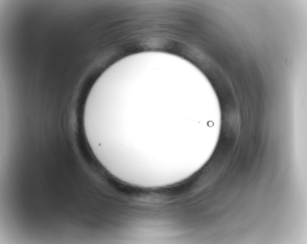 X0000088710734200706212002