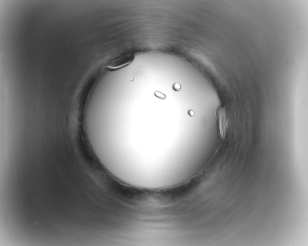 X0000088710736200706212002