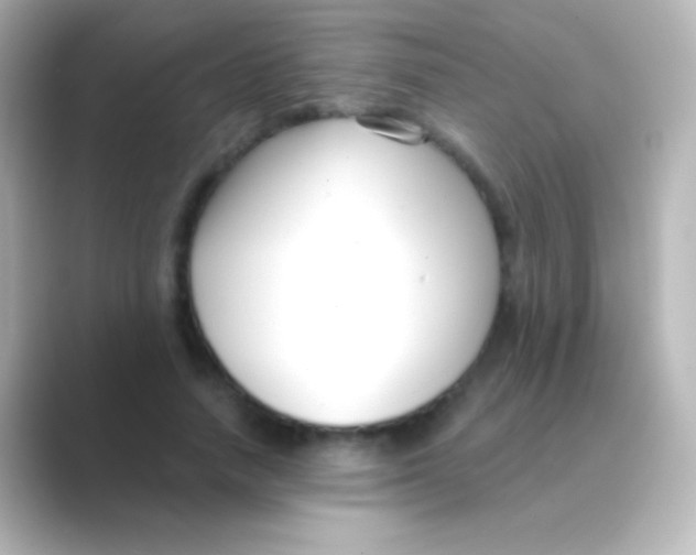 X0000088710738200706212002