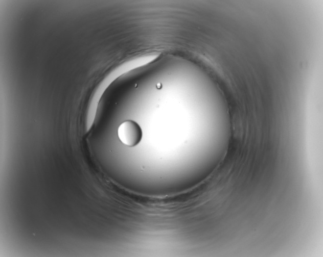 X0000088710740200706212002