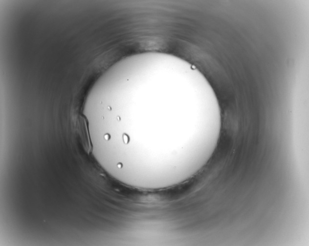 X0000088710741200706212002