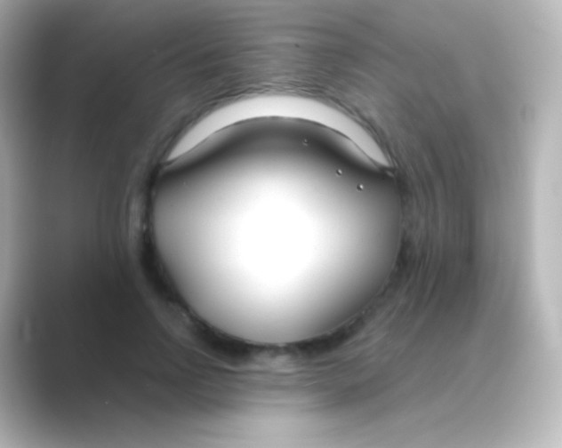 X0000088710742200706212002