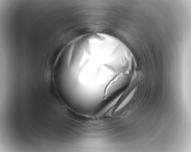 X0000088710745200706212002