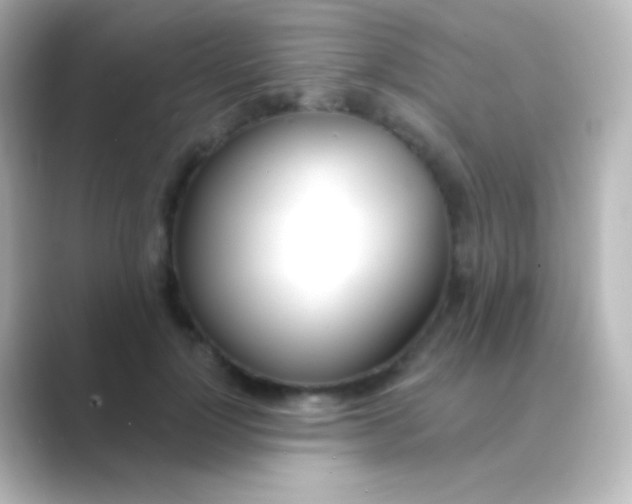 X0000088710748200706212002