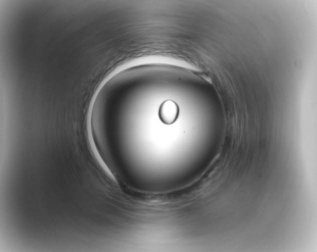 X0000088710750200706212002