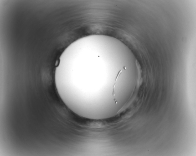 X0000088710751200706212002