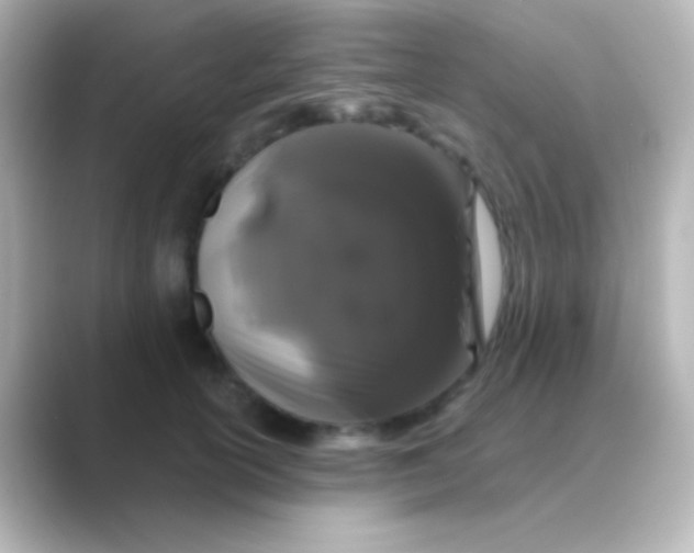 X0000088710754200706212002