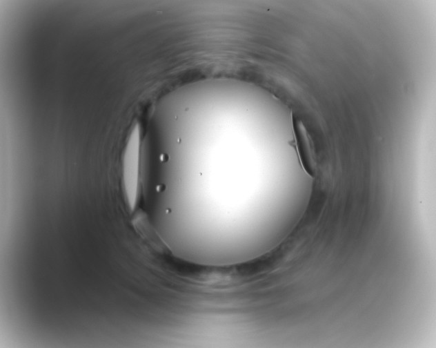 X0000088710756200706212002