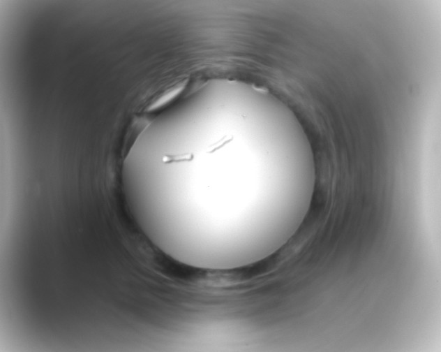 X0000088710758200706212002