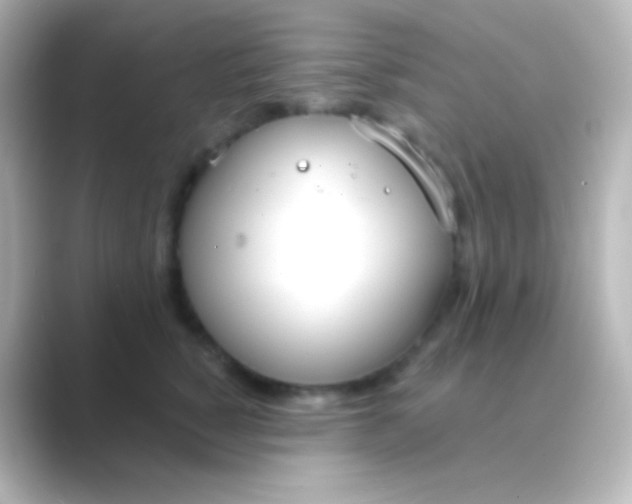 X0000088710760200706212002