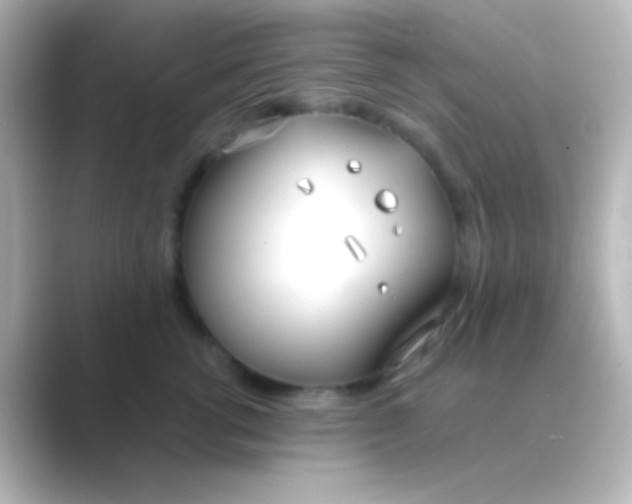 X0000088710762200706212002