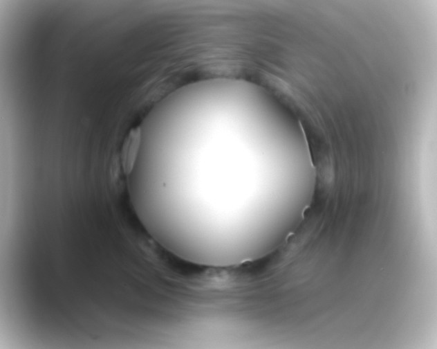 X0000088710764200706212002