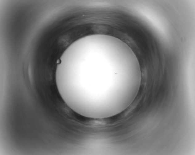 X0000088710765200706212002