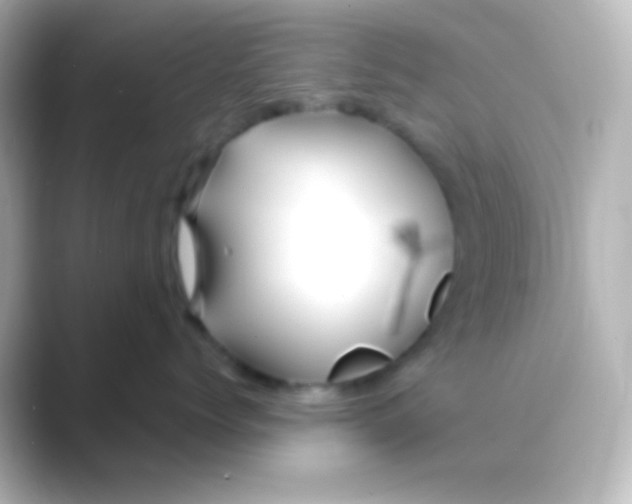 X0000088710768200706212002