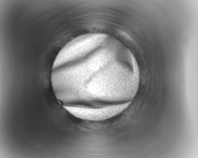 X0000088710774200706212002