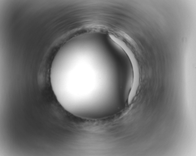 X0000088710775200706212002