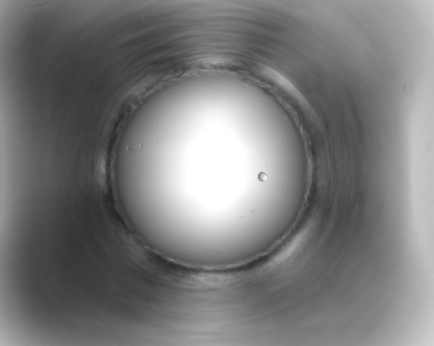 X0000088710777200706212002