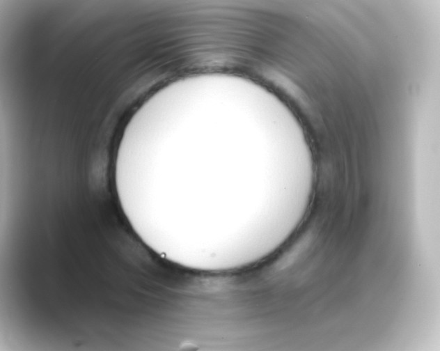 X0000088710778200706212002