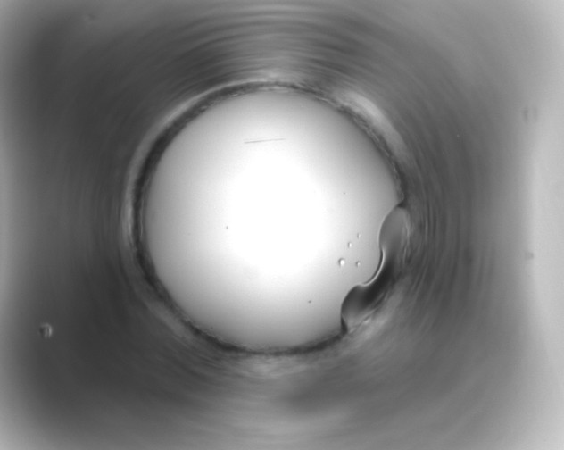 X0000088710780200706212002