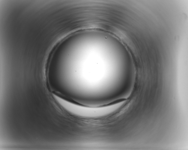 X0000088710789200706212002