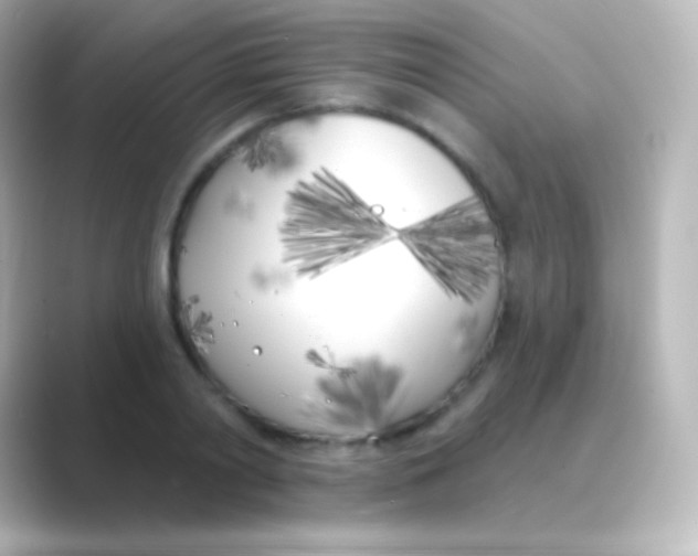 X0000088710790200706212002