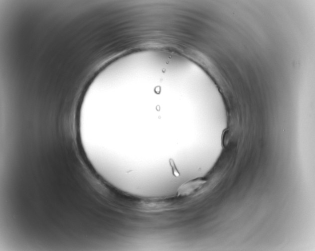 X0000088710795200706212002