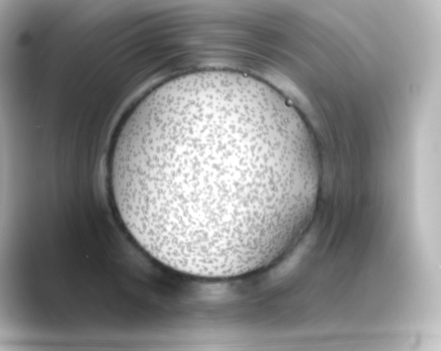 X0000088710798200706212001