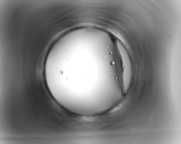 X0000088710799200706212001