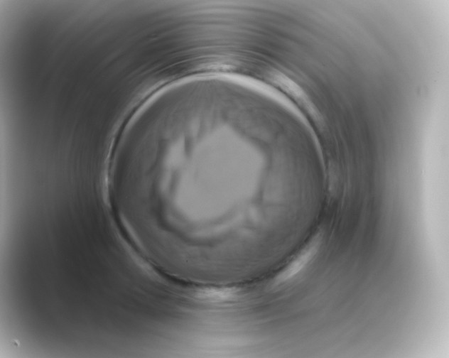 X0000088710802200706212001