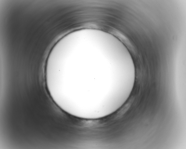 X0000088710808200706212001