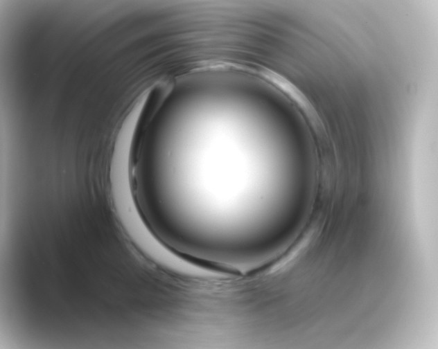 X0000088710809200706212001