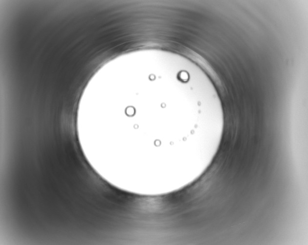 X0000088710810200706212001