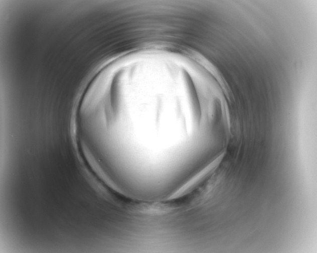 X0000088710811200706212001