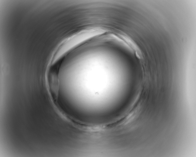 X0000088710813200706212001