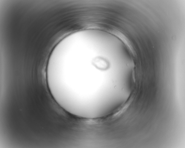 X0000088710814200706212001