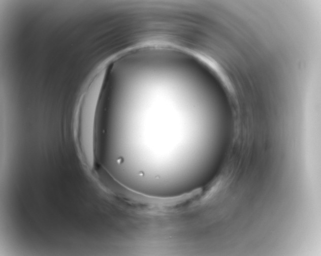 X0000088710815200706212001