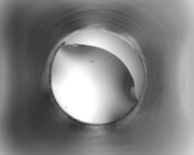 X0000088710816200706212001