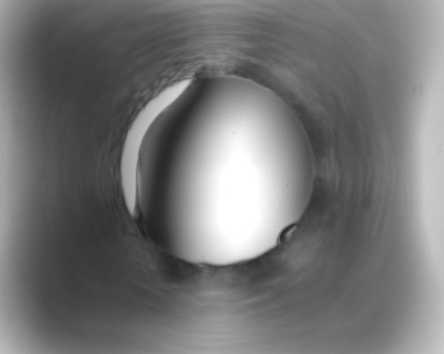 X0000088710818200706212001