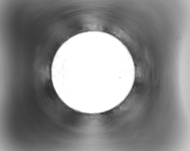 X0000088710820200706212001