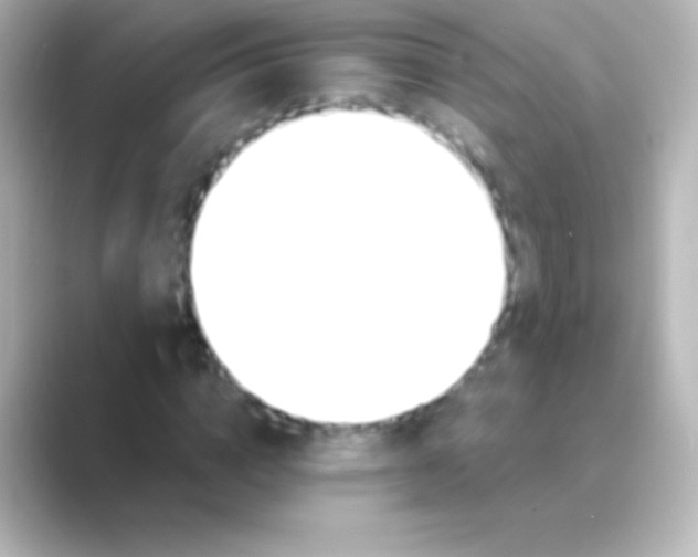 X0000088710824200706212001