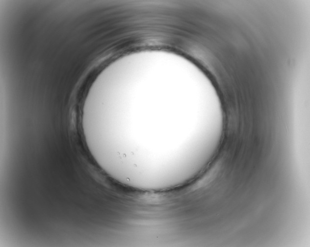 X0000088710827200706212001